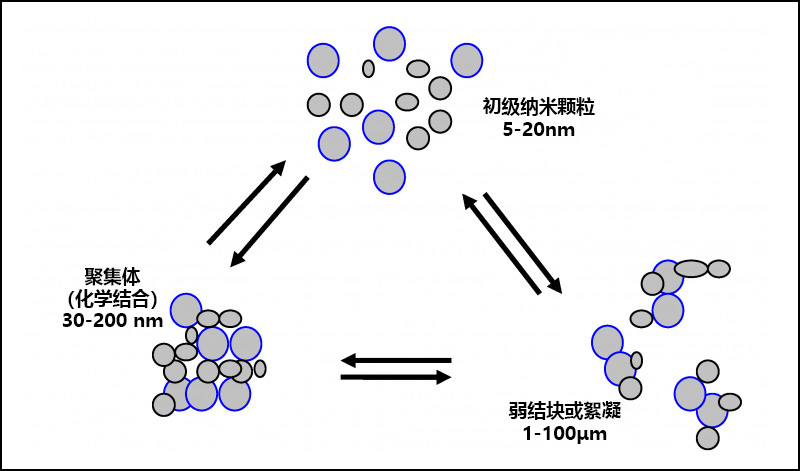 顏料顆粒、絮凝和團聚之間的關(guān)系