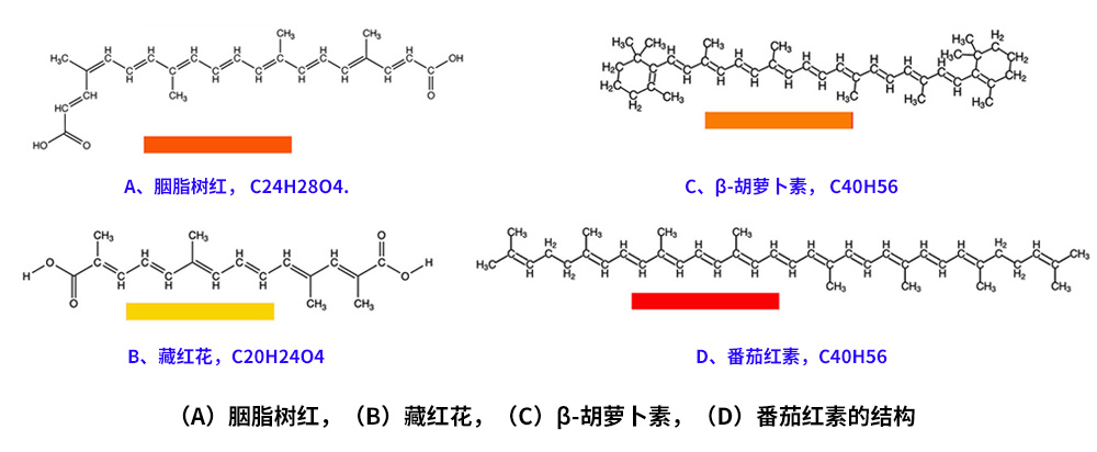 藏紅花、胭脂樹紅、β-胡蘿卜素、番茄紅素的化學(xué)結(jié)構(gòu)